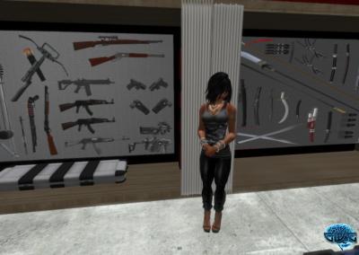 nicci_weapons_collection.png